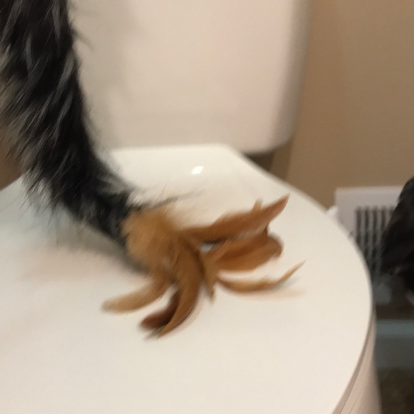 Cat toy - Picture 4 of 6